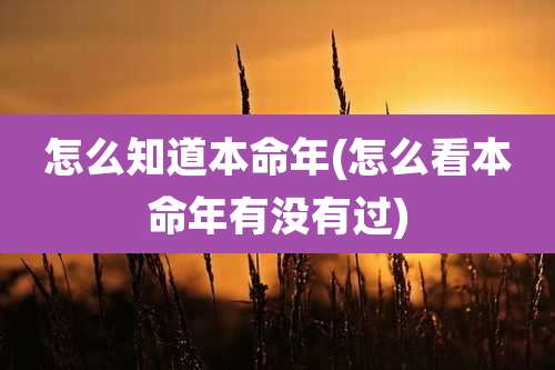 怎么知道本命年(怎么看本命年有没有过)