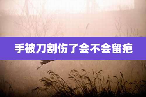 手被刀割伤了会不会留疤