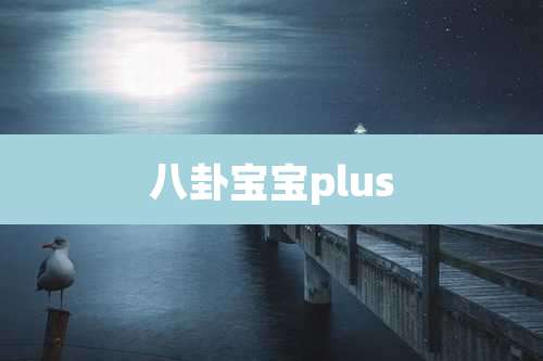 八卦宝宝plus