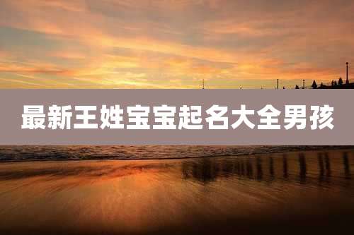 最新王姓宝宝起名大全男孩