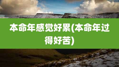 本命年感觉好累(本命年过得好苦)