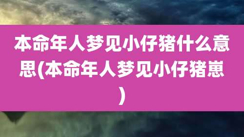 本命年人梦见小仔猪什么意思(本命年人梦见小仔猪崽)