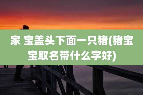 家 宝盖头下面一只猪(猪宝宝取名带什么字好)