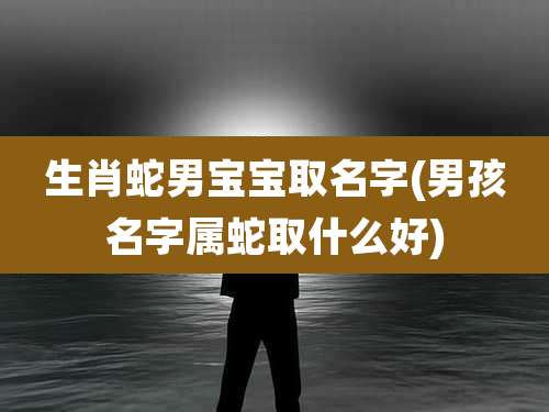 生肖蛇男宝宝取名字(男孩名字属蛇取什么好)