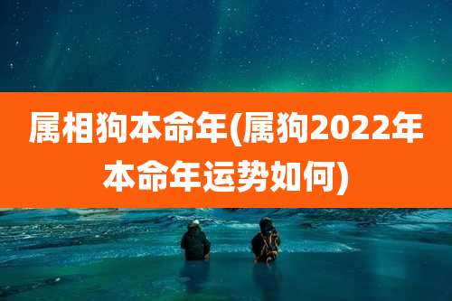 属相狗本命年(属狗2022年本命年运势如何)