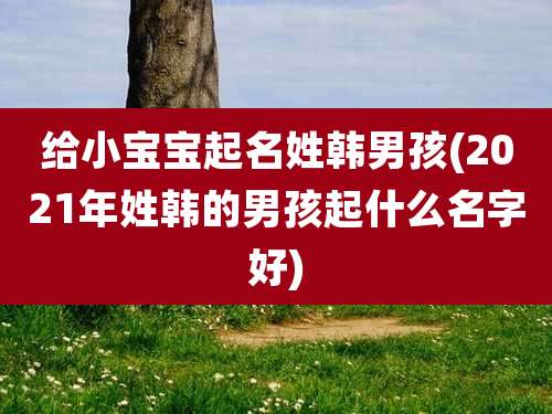 给小宝宝起名姓韩男孩(2021年姓韩的男孩起什么名字好)