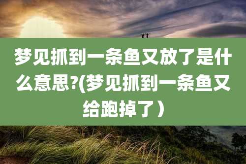 梦见抓到一条鱼又放了是什么意思?(梦见抓到一条鱼又给跑掉了)