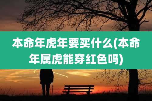 本命年虎年要买什么(本命年属虎能穿红色吗)