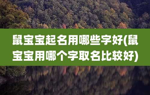 鼠宝宝起名用哪些字好(鼠宝宝用哪个字取名比较好)