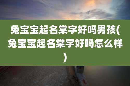 兔宝宝起名棠字好吗男孩(兔宝宝起名棠字好吗怎么样)