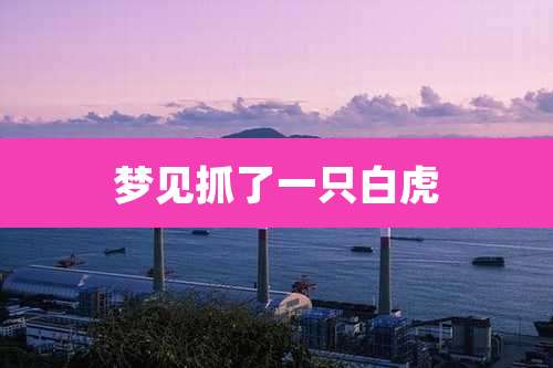 梦见抓了一只白虎