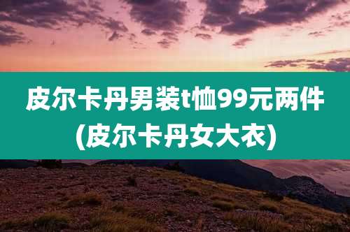 皮尔卡丹男装t恤99元两件(皮尔卡丹女大衣)