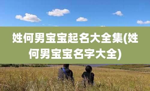 姓何男宝宝起名大全集(姓何男宝宝名字大全)