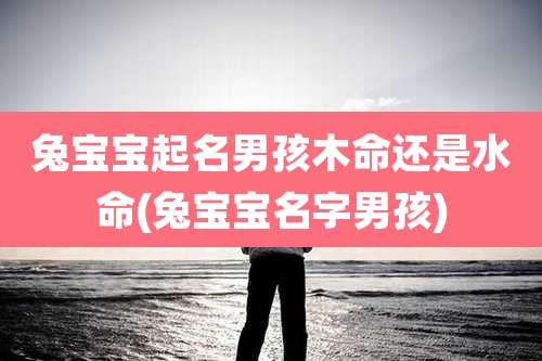 兔宝宝起名男孩木命还是水命(兔宝宝名字男孩)