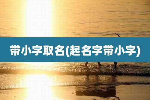 带小字取名(起名字带小字)