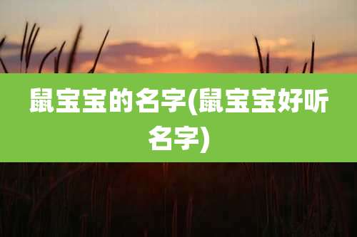 鼠宝宝的名字(鼠宝宝好听名字)