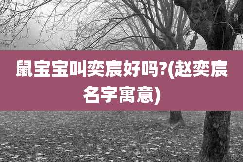 鼠宝宝叫奕宸好吗?(赵奕宸名字寓意)
