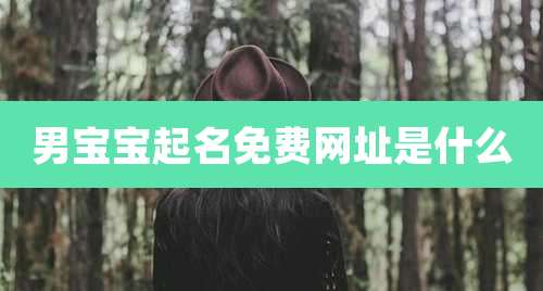 男宝宝起名免费网址是什么