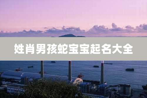 姓肖男孩蛇宝宝起名大全