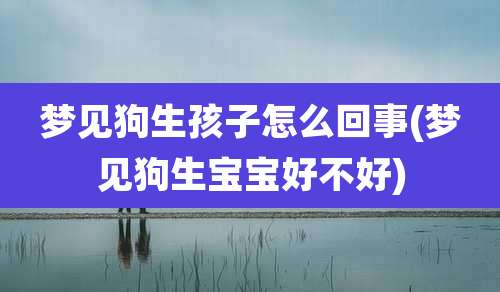 梦见狗生孩子怎么回事(梦见狗生宝宝好不好)