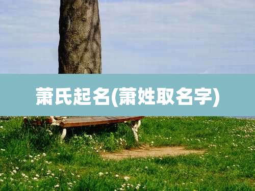 萧氏起名(萧姓取名字)