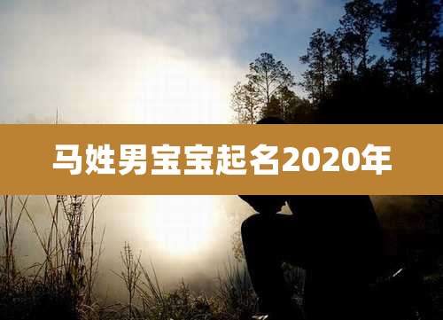 马姓男宝宝起名2020年