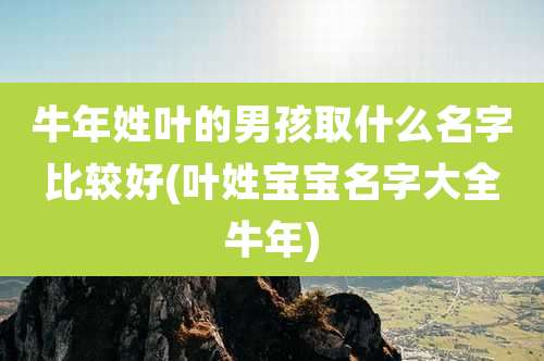 牛年姓叶的男孩取什么名字比较好(叶姓宝宝名字大全牛年)