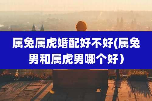 属兔属虎婚配好不好(属兔男和属虎男哪个好)