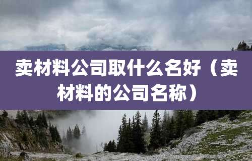 卖材料公司取什么名好(卖材料的公司名称)