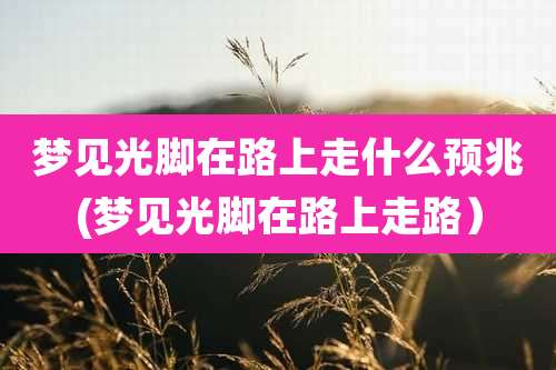 梦见光脚在路上走什么预兆(梦见光脚在路上走路)