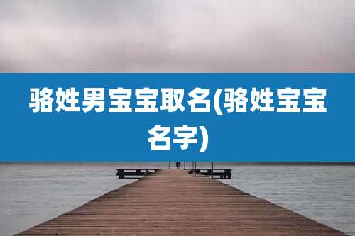 骆姓男宝宝取名(骆姓宝宝名字)