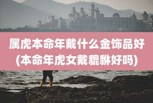 属虎本命年戴什么金饰品好(本命年虎女戴貔貅好吗)