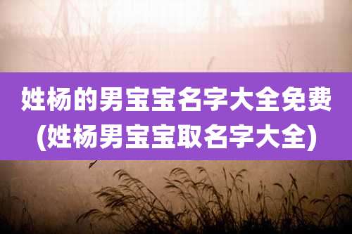 姓杨的男宝宝名字大全免费(姓杨男宝宝取名字大全)