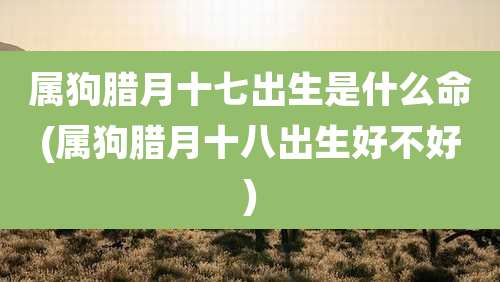 属狗腊月十七出生是什么命(属狗腊月十八出生好不好)
