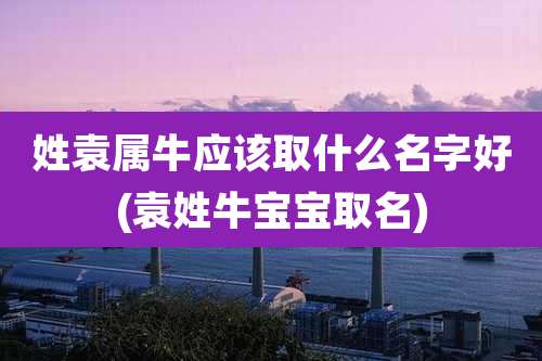 姓袁属牛应该取什么名字好(袁姓牛宝宝取名)