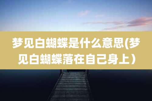 梦见白蝴蝶是什么意思(梦见白蝴蝶落在自己身上）