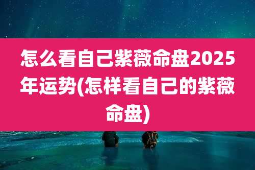 怎么看自己紫薇命盘2025年运势(怎样看自己的紫薇命盘)