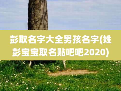 彭取名字大全男孩名字(姓彭宝宝取名贴吧吧2020)