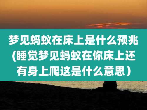 梦见蚂蚁在床上是什么预兆(睡觉梦见蚂蚁在你床上还有身上爬这是什么意思)