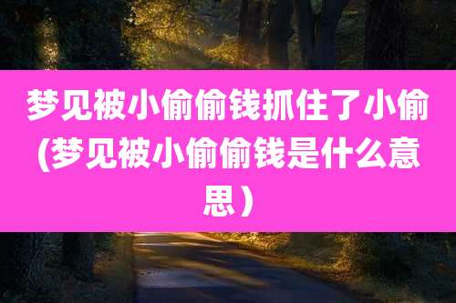 梦见被小偷偷钱抓住了小偷(梦见被小偷偷钱是什么意思)