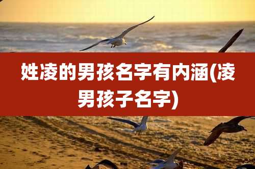 姓凌的男孩名字有内涵(凌男孩子名字)