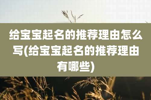 给宝宝起名的推荐理由怎么写(给宝宝起名的推荐理由有哪些)