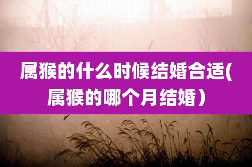 属猴的什么时候结婚合适(属猴的哪个月结婚)
