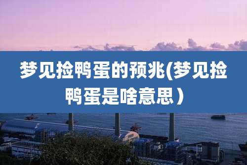 梦见捡鸭蛋的预兆(梦见捡鸭蛋是啥意思)