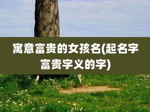 寓意富贵的女孩名(起名字富贵字义的字)