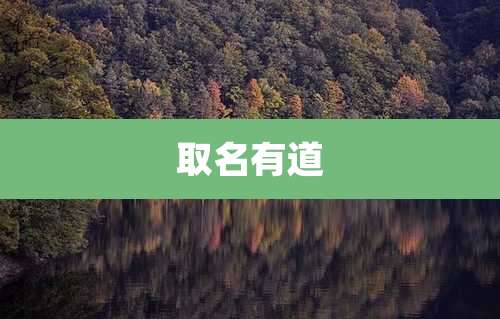取名有道