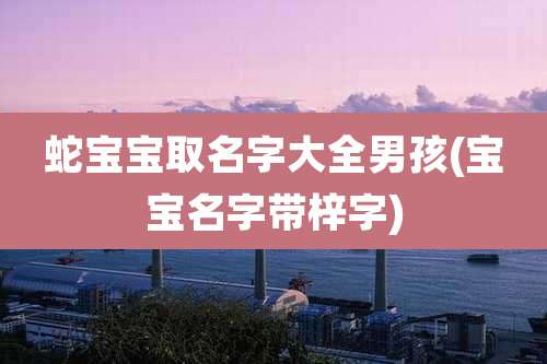 蛇宝宝取名字大全男孩(宝宝名字带梓字)