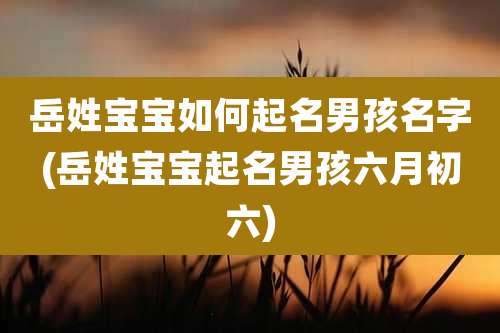 岳姓宝宝如何起名男孩名字(岳姓宝宝起名男孩六月初六)