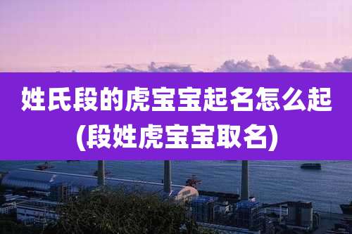 姓氏段的虎宝宝起名怎么起(段姓虎宝宝取名)