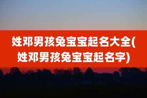 姓邓男孩兔宝宝起名大全(姓邓男孩兔宝宝起名字)